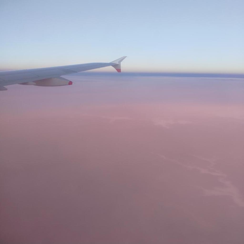 P_20240205_073546.jpg