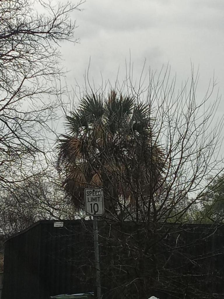 20240307_145249_HDR.jpg