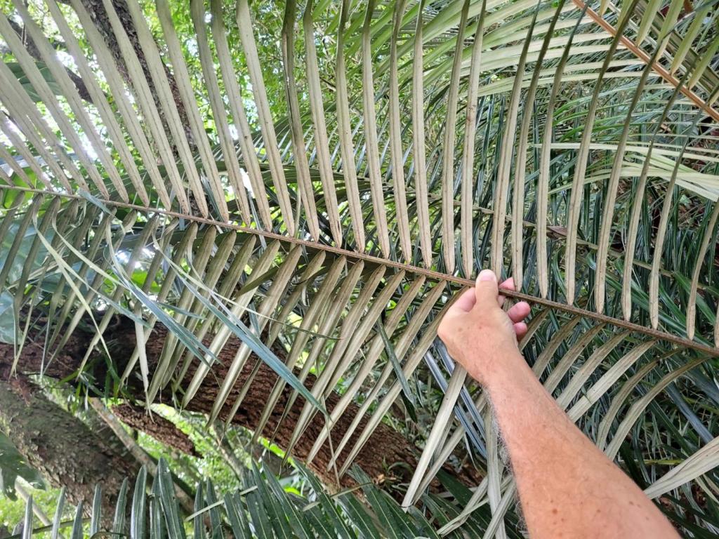 20240316_121138 2.jpeg