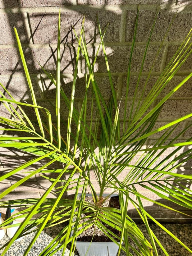 IMG_0642.jpeg