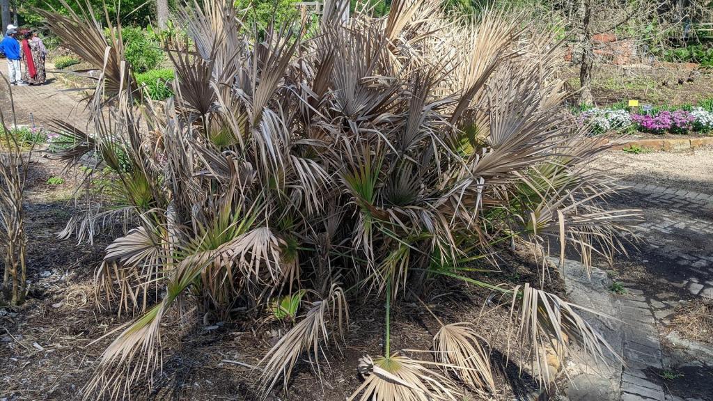 everglades.thumb.jpg.6962e6ff0316e0939f8453c0a7811242.jpg