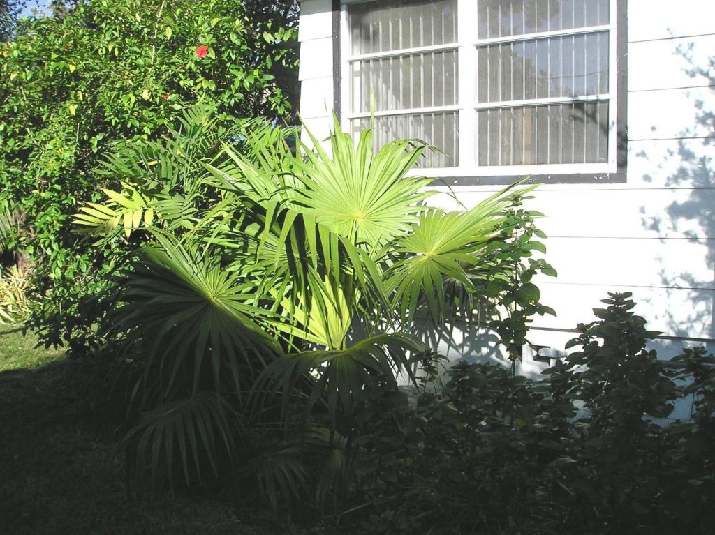 image.thumb.jpeg.a20da5aaceecf416663e87e0f02f6125.jpeg