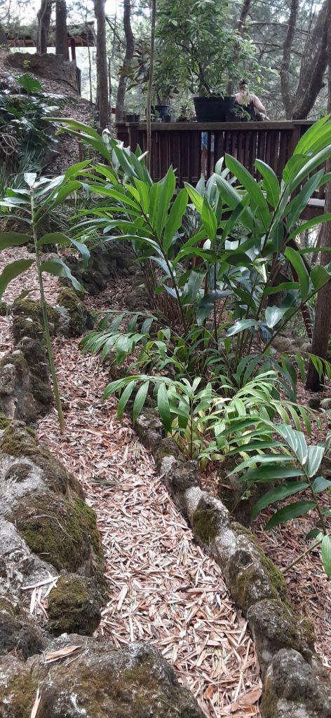 0019_Vertical_Plants.jpg.55b269b04dad15baea5f5d344cab4e82.jpg