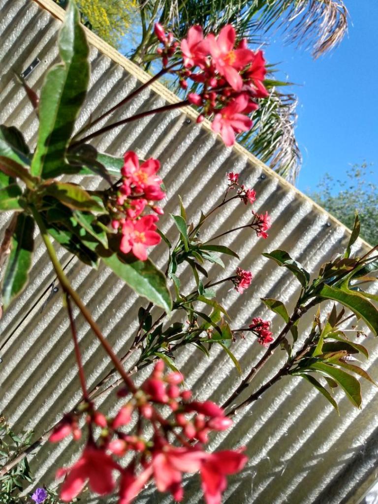 IMG_20240421_100322199_HDR.jpg