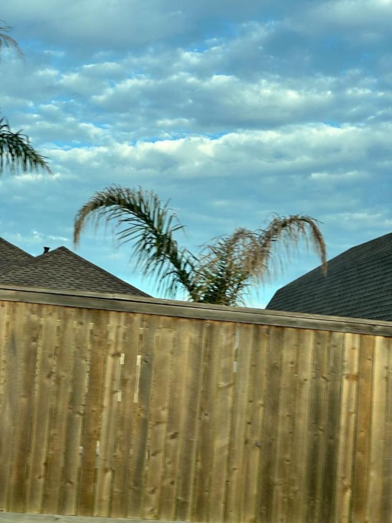 IMG_3285.jpeg
