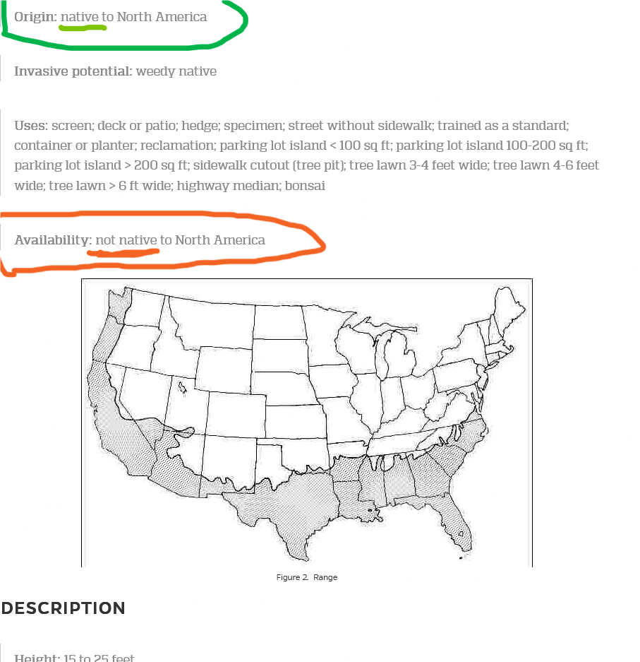 Screenshot2024-04-29at21-21-09ENH-569_ST410MyricaceriferaSouthernWaxmyrtle.png.b5565752d19acd968b5bbb8fac580771.png