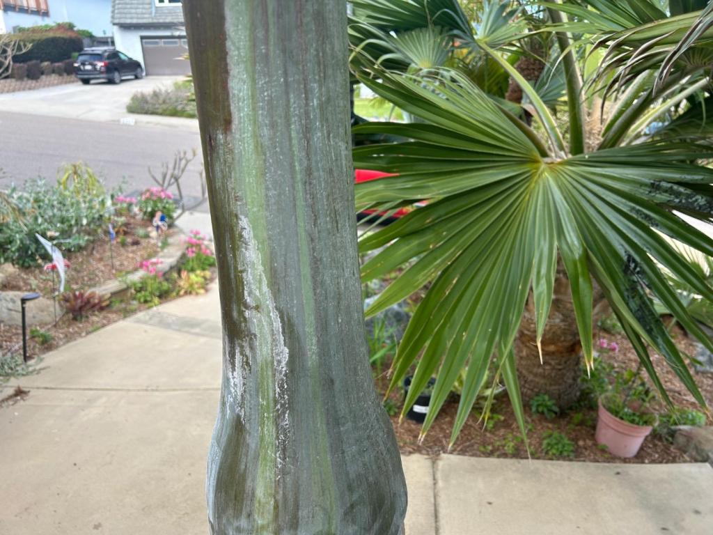 IMG_1875.jpeg