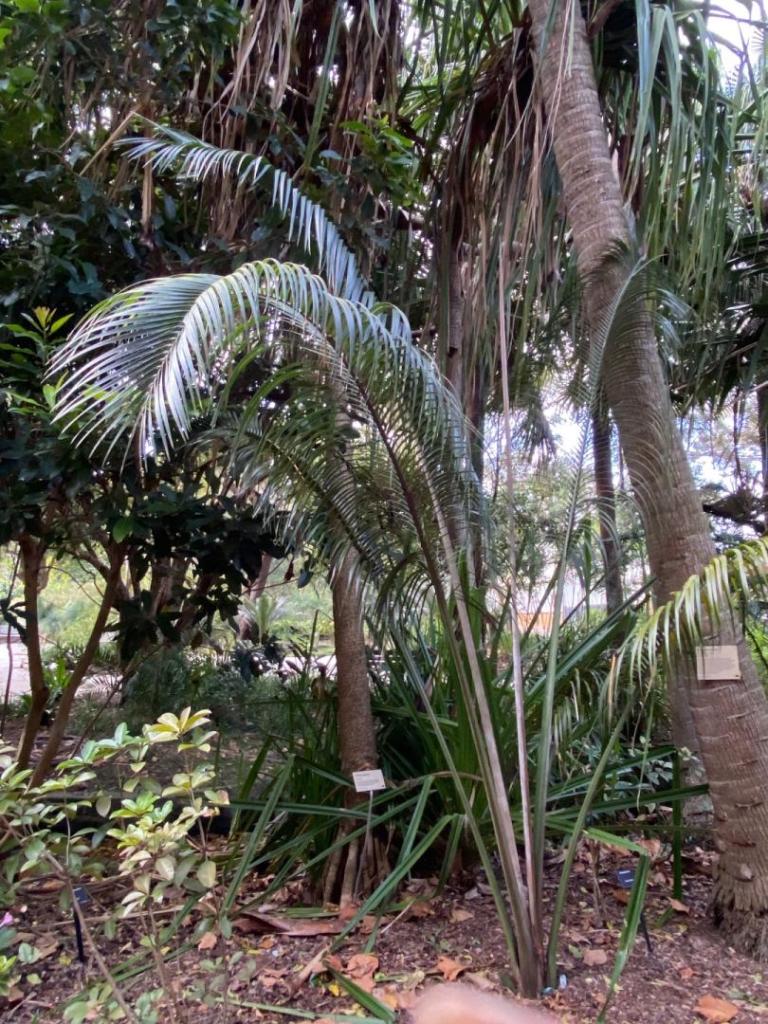 IMG_4986.jpeg