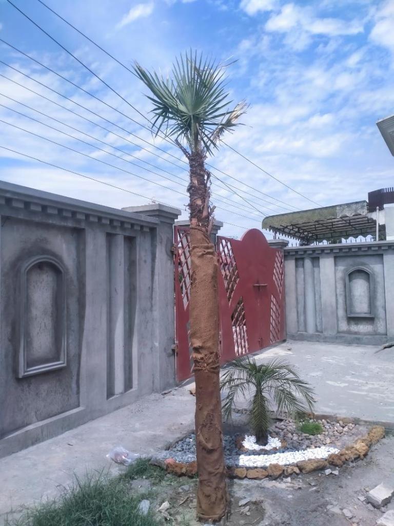 IMG20240606141648.jpg
