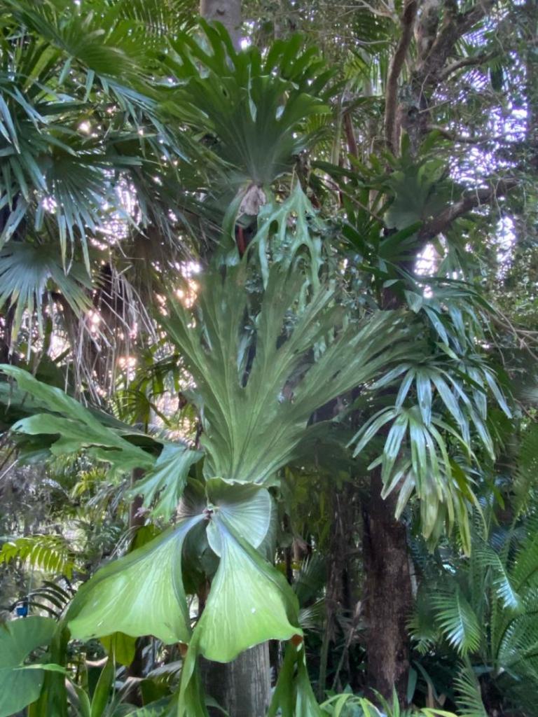 IMG_6739.jpeg