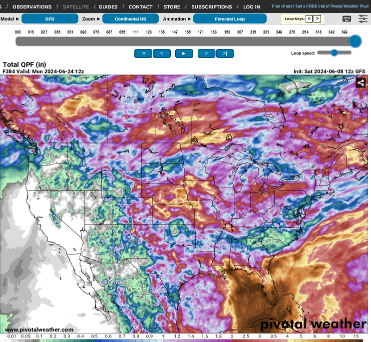 Screenshot2024-06-08at12-20-02ModelsGFS-PivotalWeather.png.00918d7f446e891062123241c7dc7cf9.png