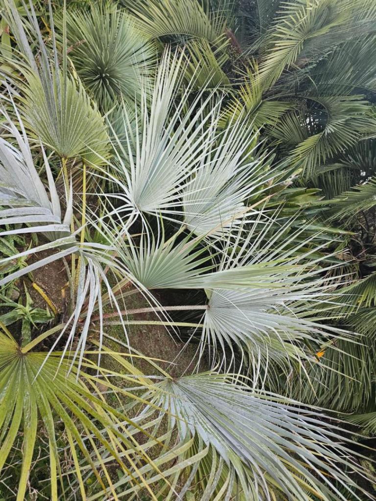 20240719_173548.jpg