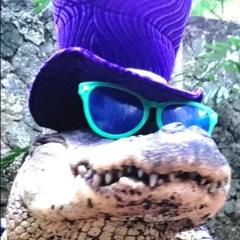 AlligatorDave