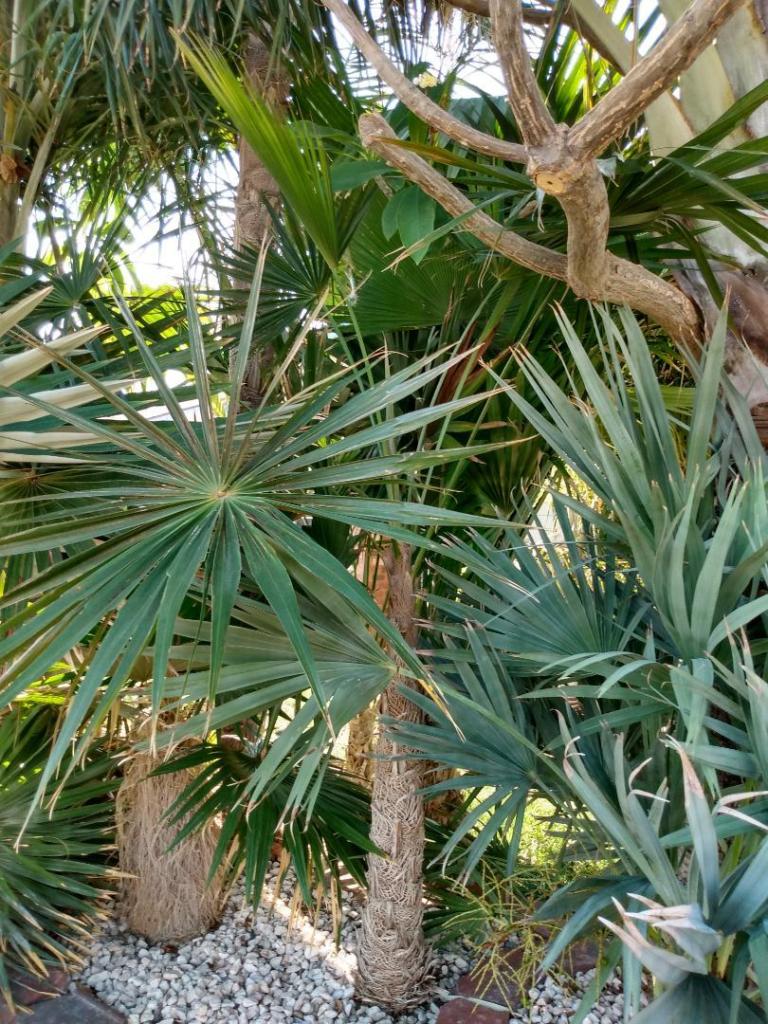 IMG_20240708_164242180_HDR.jpg