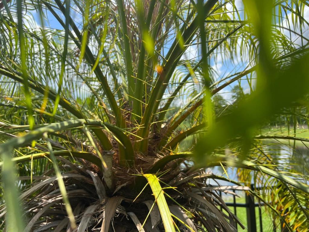 IMG_2903.jpeg