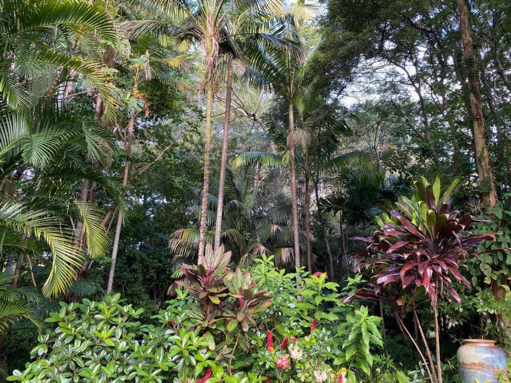 IMG_7022.jpeg