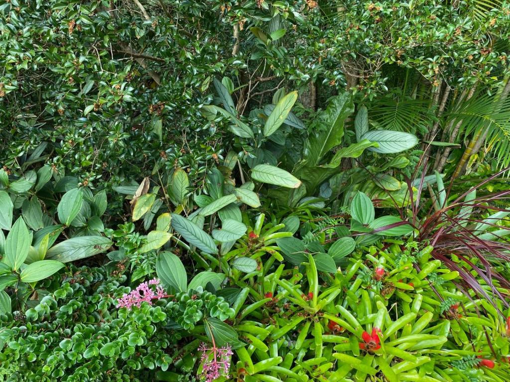 IMG_7024.jpeg