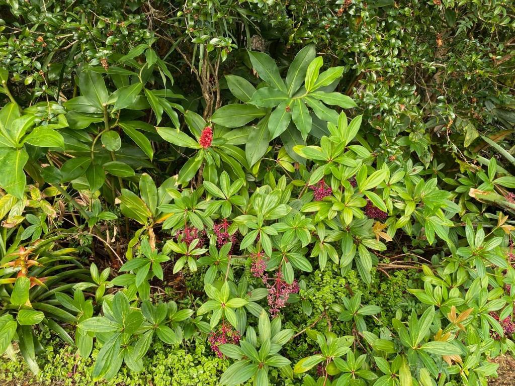 IMG_7025.jpeg