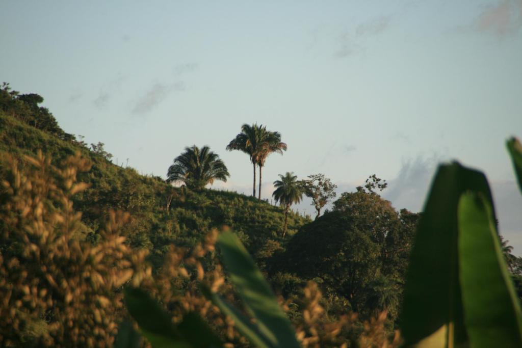 IMG_8197.JPG