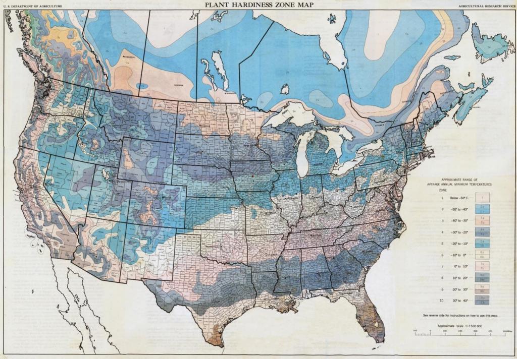 USDA1960.jpg