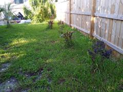 20240705_083138.jpg