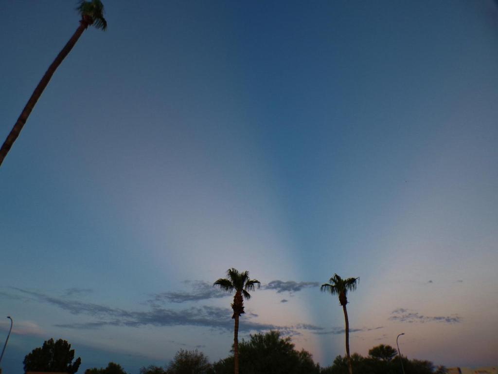 100_0773.thumb.JPG.a8dbca10845391d6b5a3da02b845511e.JPG