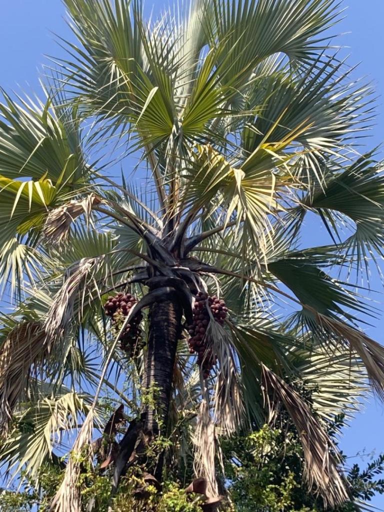 IMG_0236.jpeg