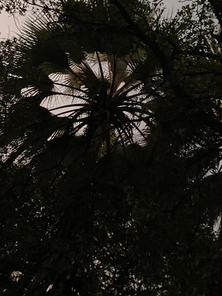IMG_0244.jpeg