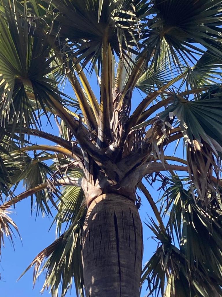 IMG_0570.jpeg