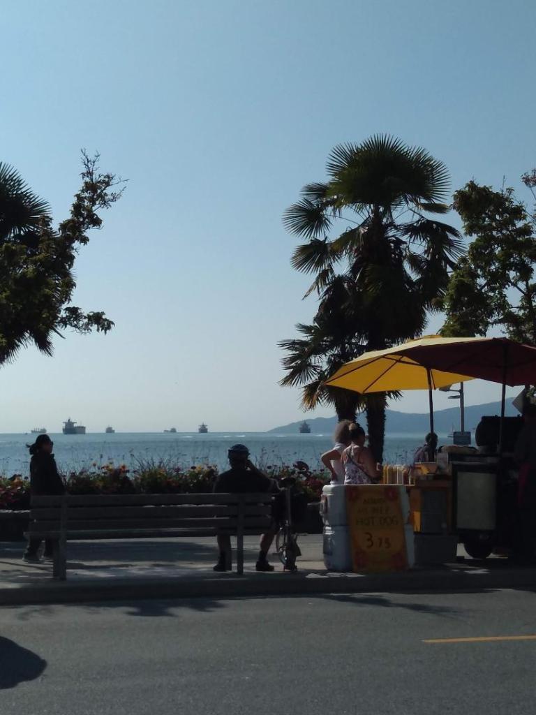IMG_20190808_164414562.jpg