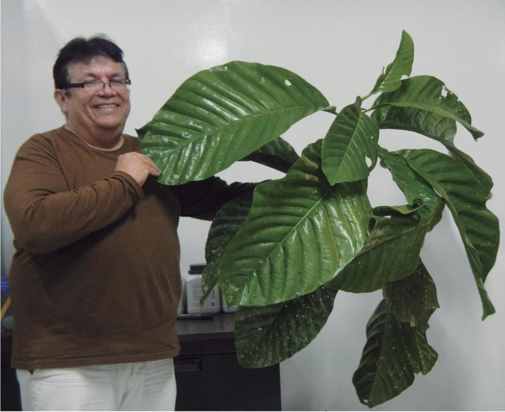 M. equatorialis (with Prof. Antonio Vázquez).jpg