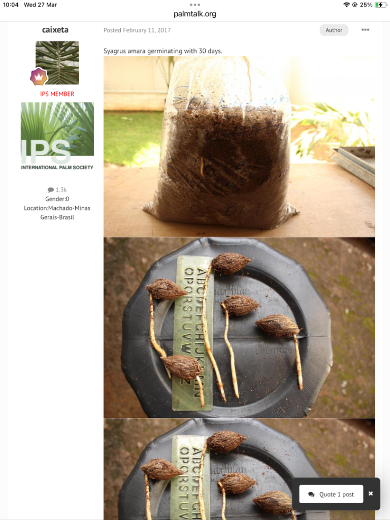 IMG_5761.thumb.png.83c36d1d221907d0cd5998b3e4f2168e.png