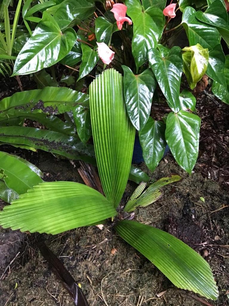 IMG_7819.jpeg