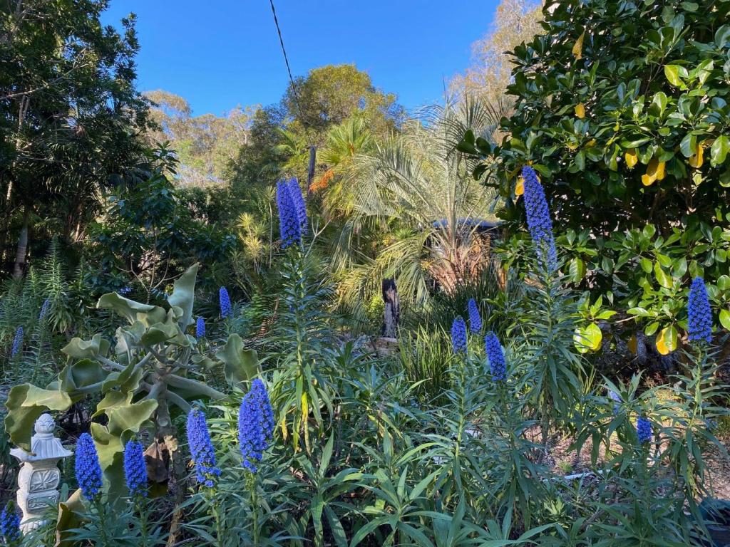 IMG_9095.jpeg