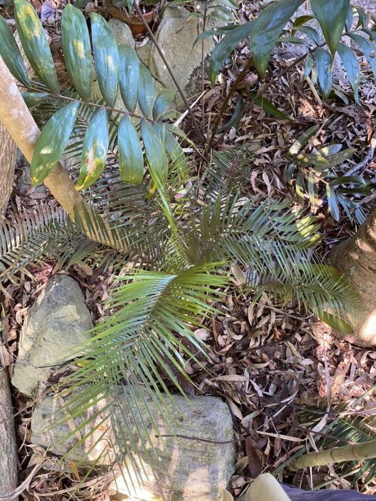 IMG_9679.jpeg