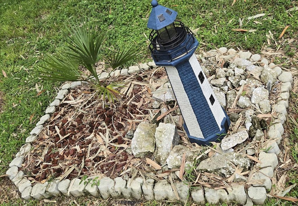 0008_Brahea_edulis_Lighthouse.jpg.054fce4578fd9aa538f2d6e8b266ca05.jpg