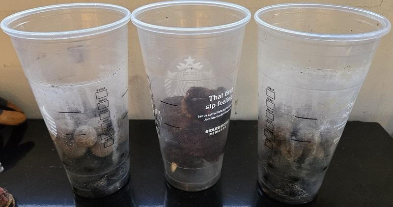 23_Containers_04.jpg.ce750aac8d55f75fb0cdc636388b0d51.jpg