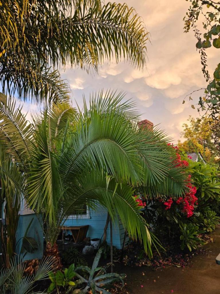 20241111_163920.jpg