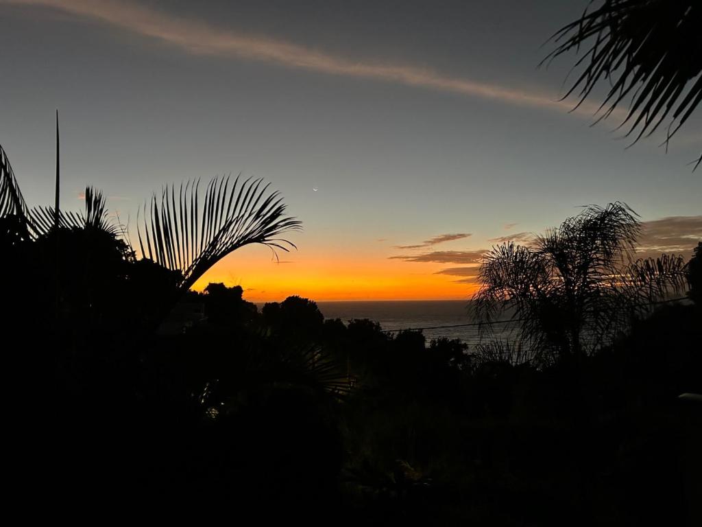 IMG_0201.jpeg