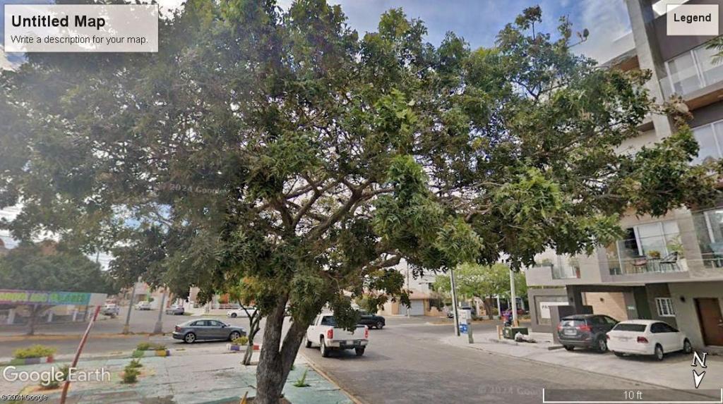 Mahogany1.2253av.lomasdemazatlanMazatlanSIN..thumb.jpg.20efa479fa9a34a2e4cabc2681920de1.jpg