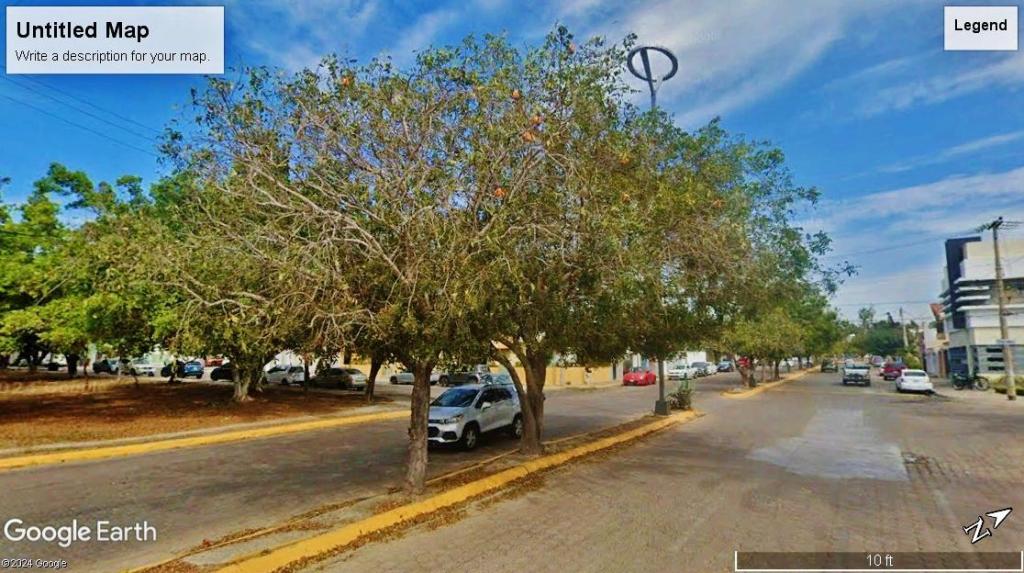 Mahogany3.136SierraIndiaMazatlanSIN..thumb.jpg.a43e4a4ca095141d10c87177749e3b56.jpg