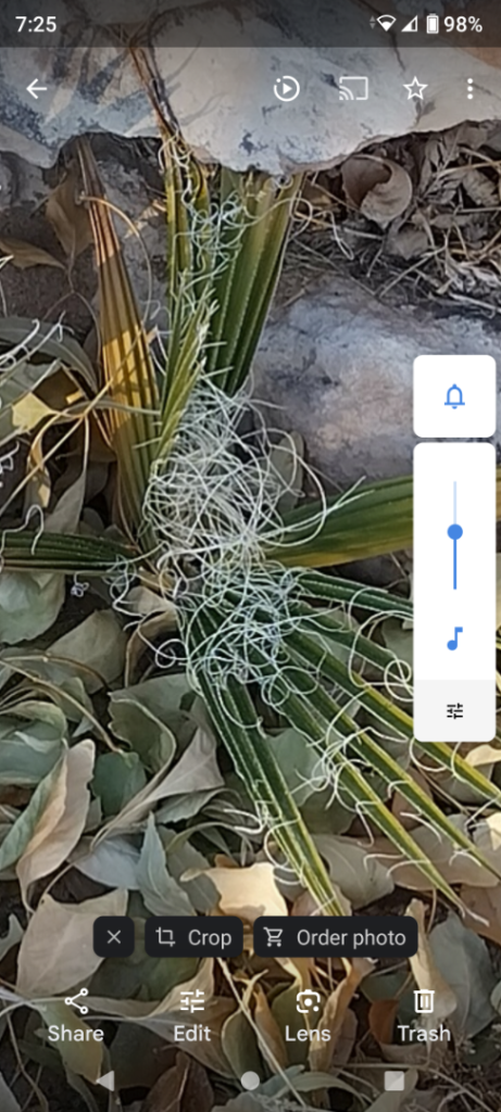 Screenshot_20241224-072518.thumb.png.7ee630483dc5b87a81f8af236297a54a.png