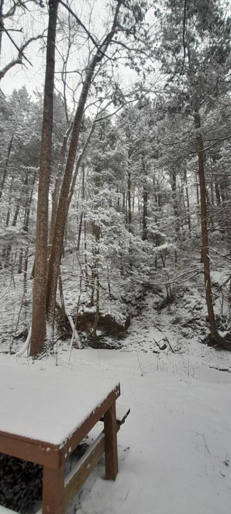 20250119_131843.jpg