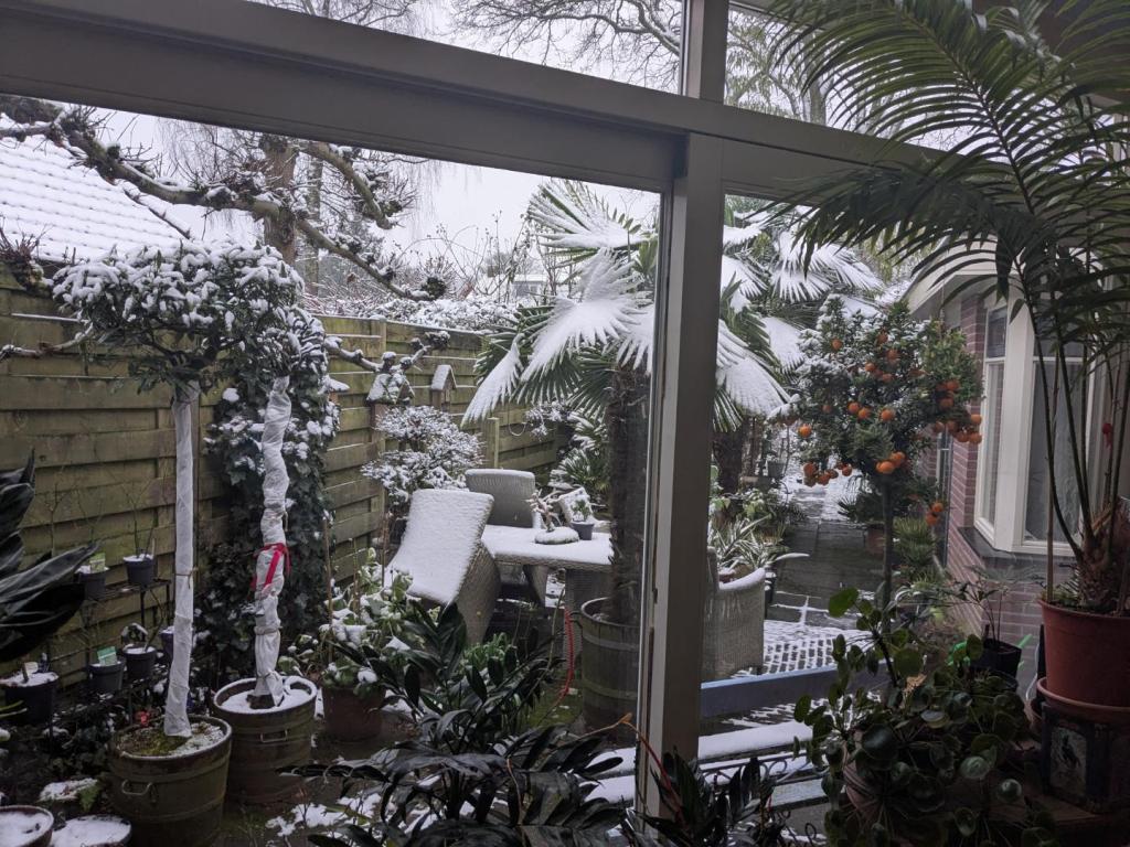 winter6.jpg
