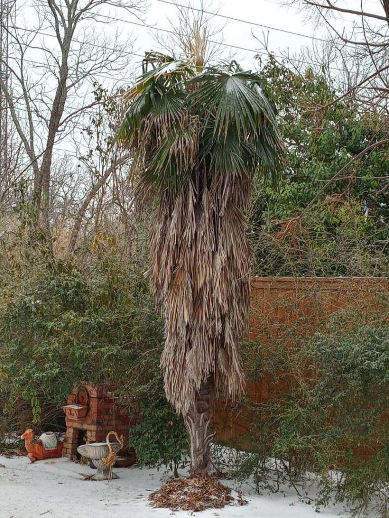 20230201_120743_HDR.jpg