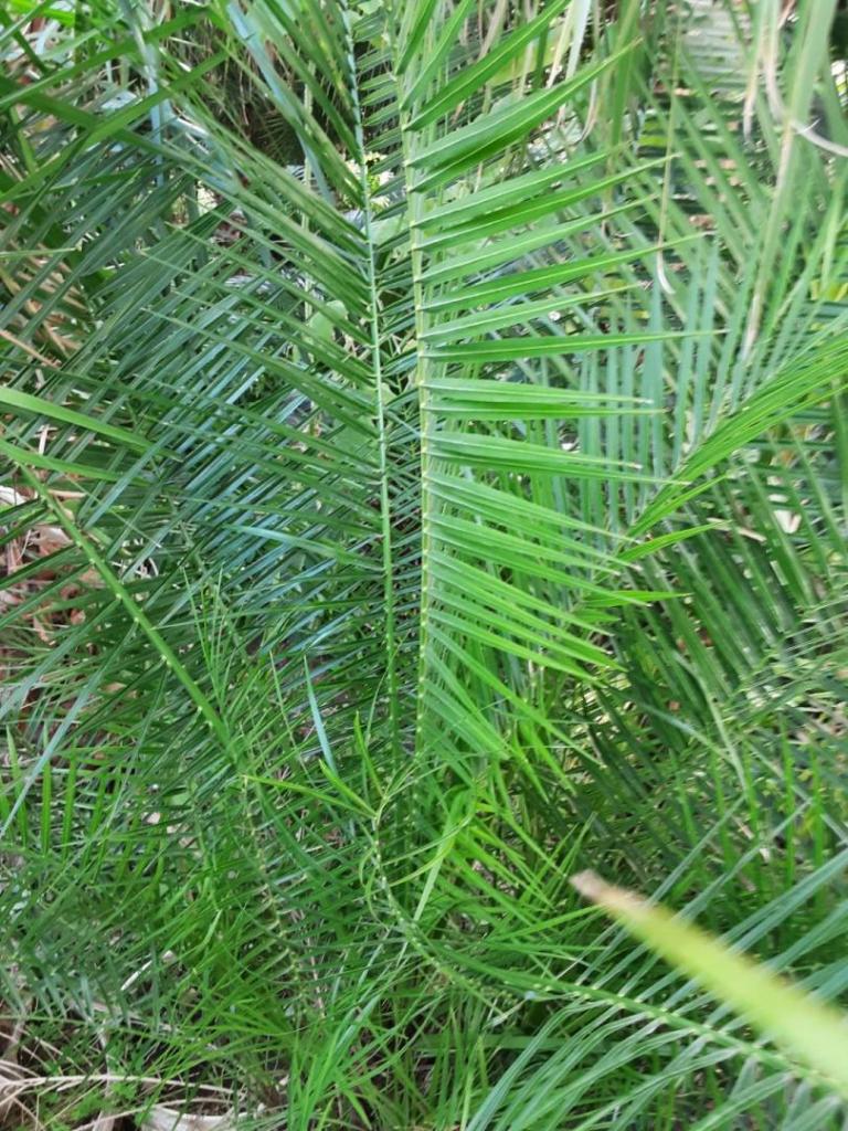 20250202_150749.jpg