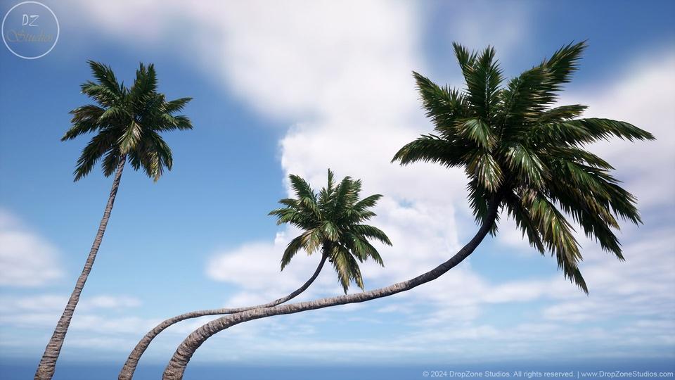 curvedpalm8.jpg.1e6b51987a640ccfcae29e2d80ab0869.jpg