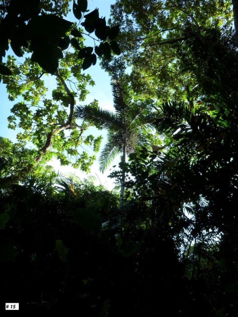 dt120912093.thumb.jpg.2530d19032da128bda4941e3daf991d8.jpg
