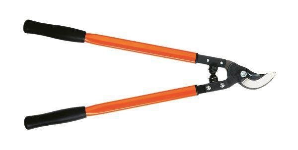 LoppingPruner.jpg.44507c54814d35f853257c2a4317669c.jpg