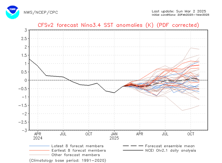 Screenshot2025-03-02at08-38-10STORMSURFPowertoolsENSOQuick-Look.png.7be5df066cec98cdefe7c170b9aef44f.png